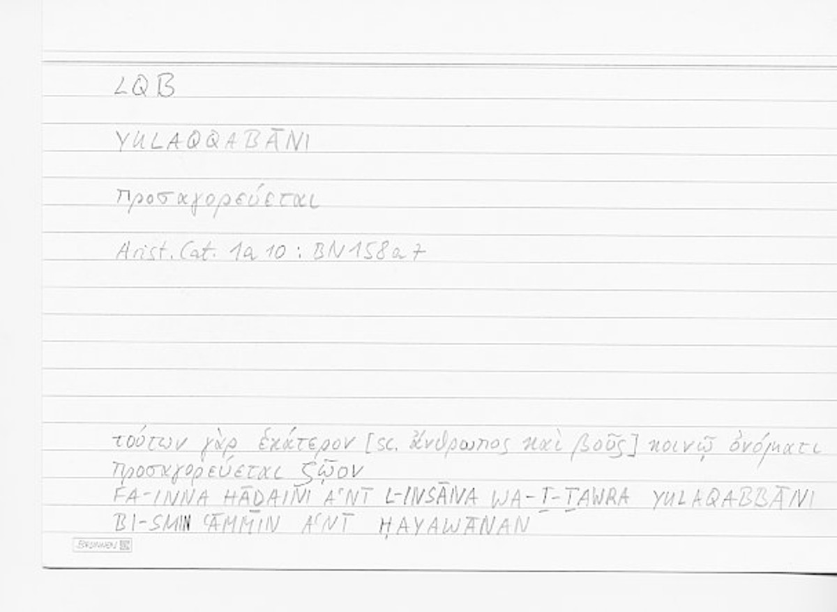 Filecard Arist.Cat.00663