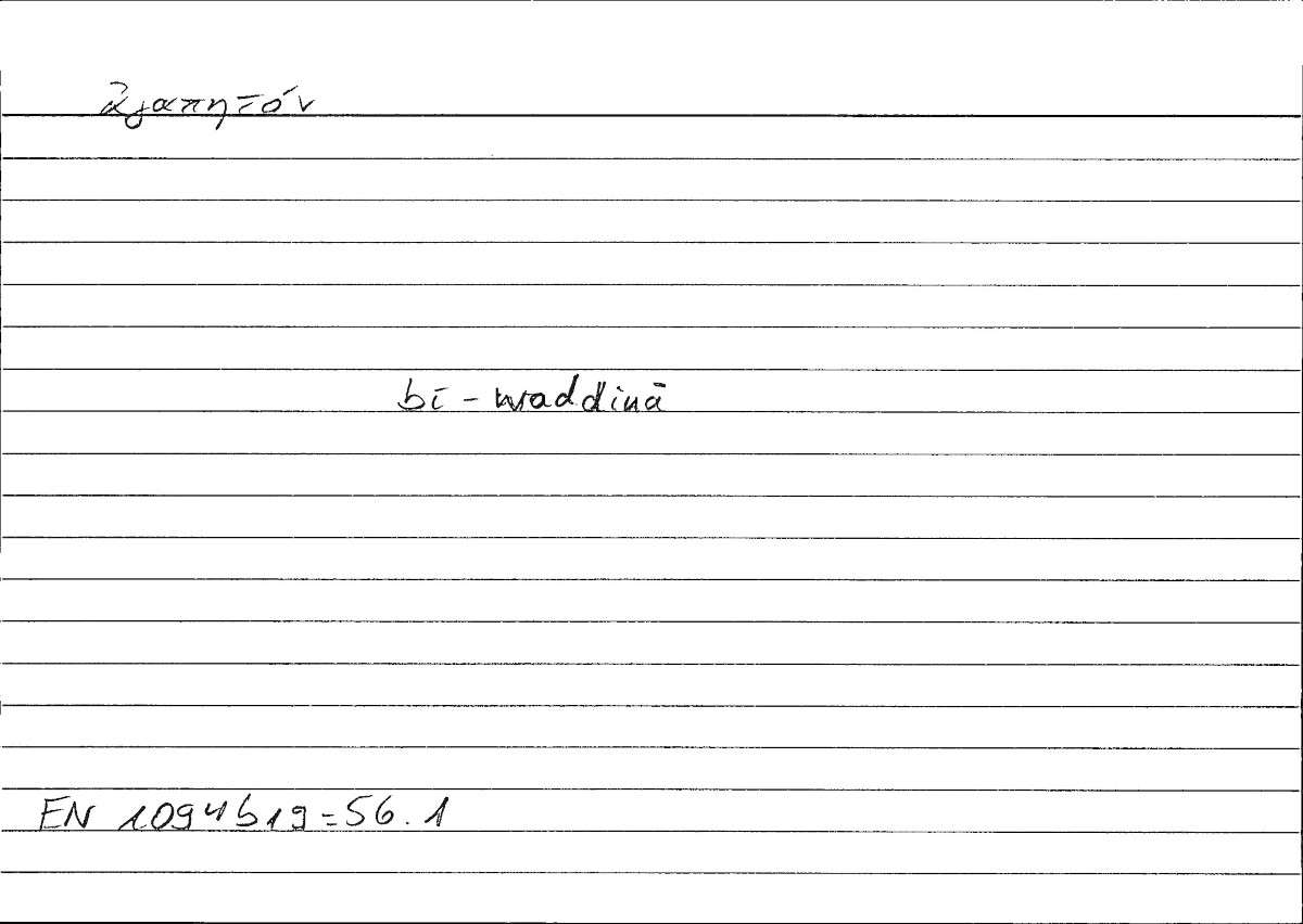 Filecard Arist.Eth-Nic.00208