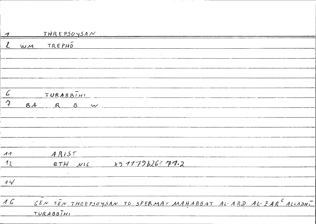 Filecard Arist.Eth-Nic.10385