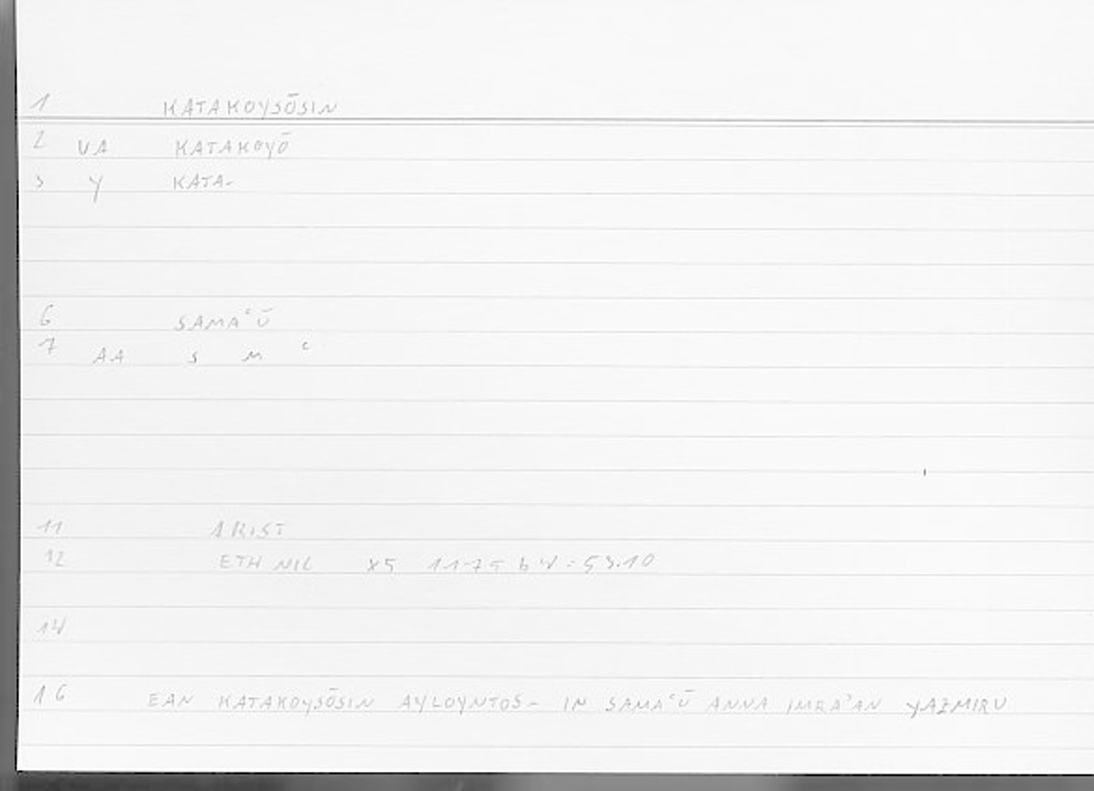 Filecard Arist.Eth-Nic.11049