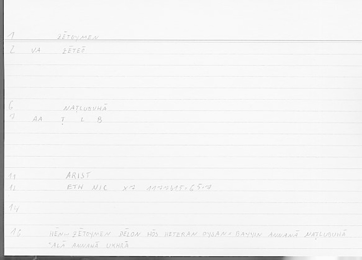 Filecard Arist.Eth-Nic.11240
