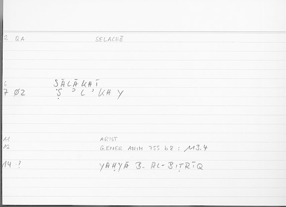 Filecard Arist.Gener-anim.2034