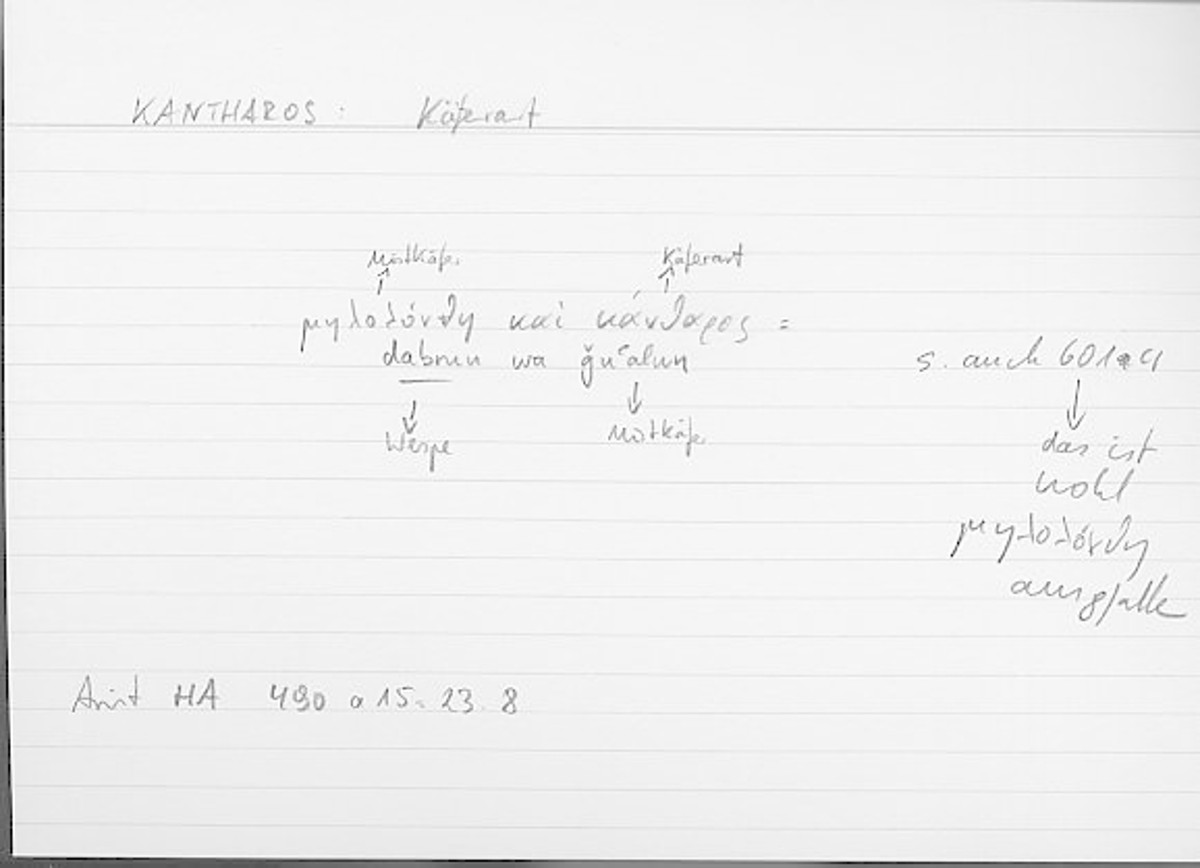 Filecard Arist.Hist-anim.054