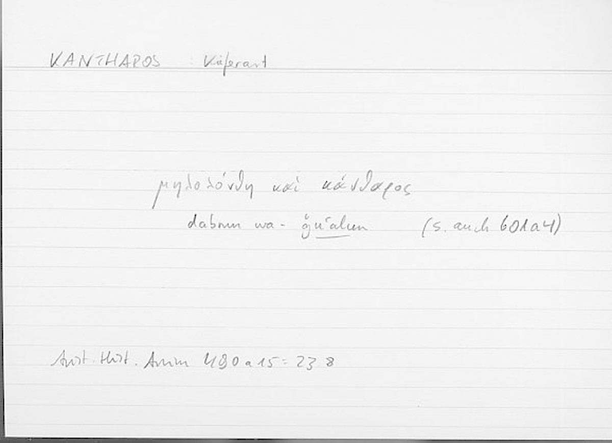 Filecard Arist.Hist-anim.077