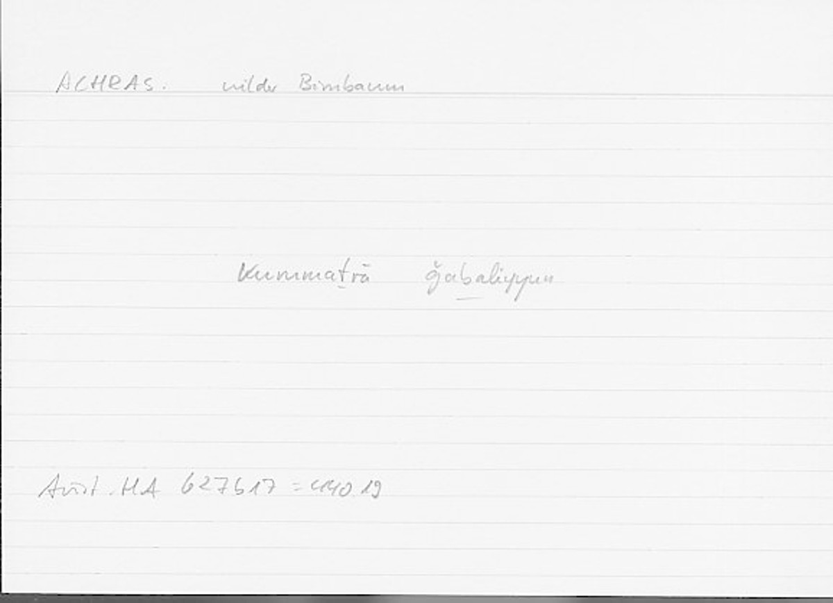 Filecard Arist.Hist-anim.139