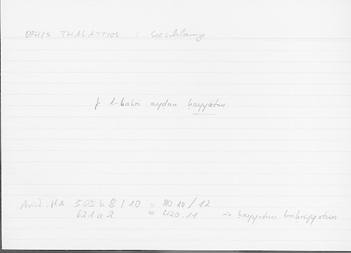 Filecard Arist.Hist-anim.158
