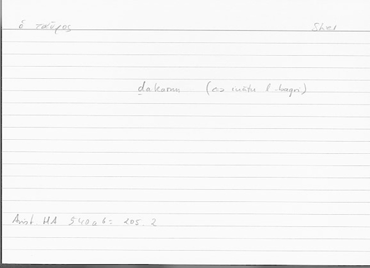 Filecard Arist.Hist-anim.205