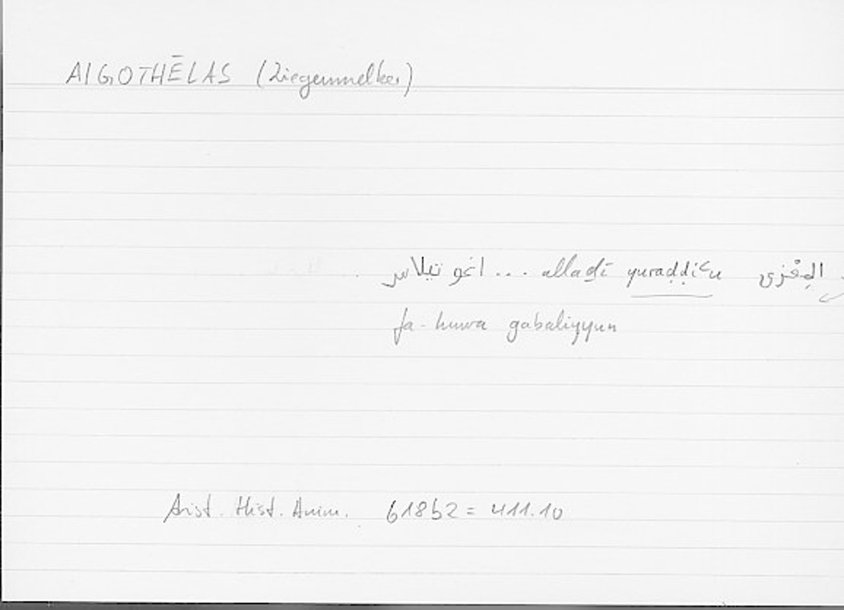 Filecard Arist.Hist-anim.244
