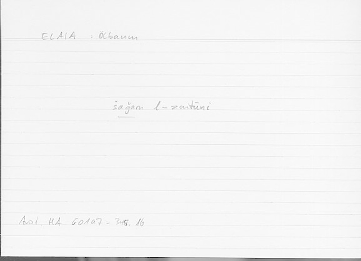 Filecard Arist.Hist-anim.285