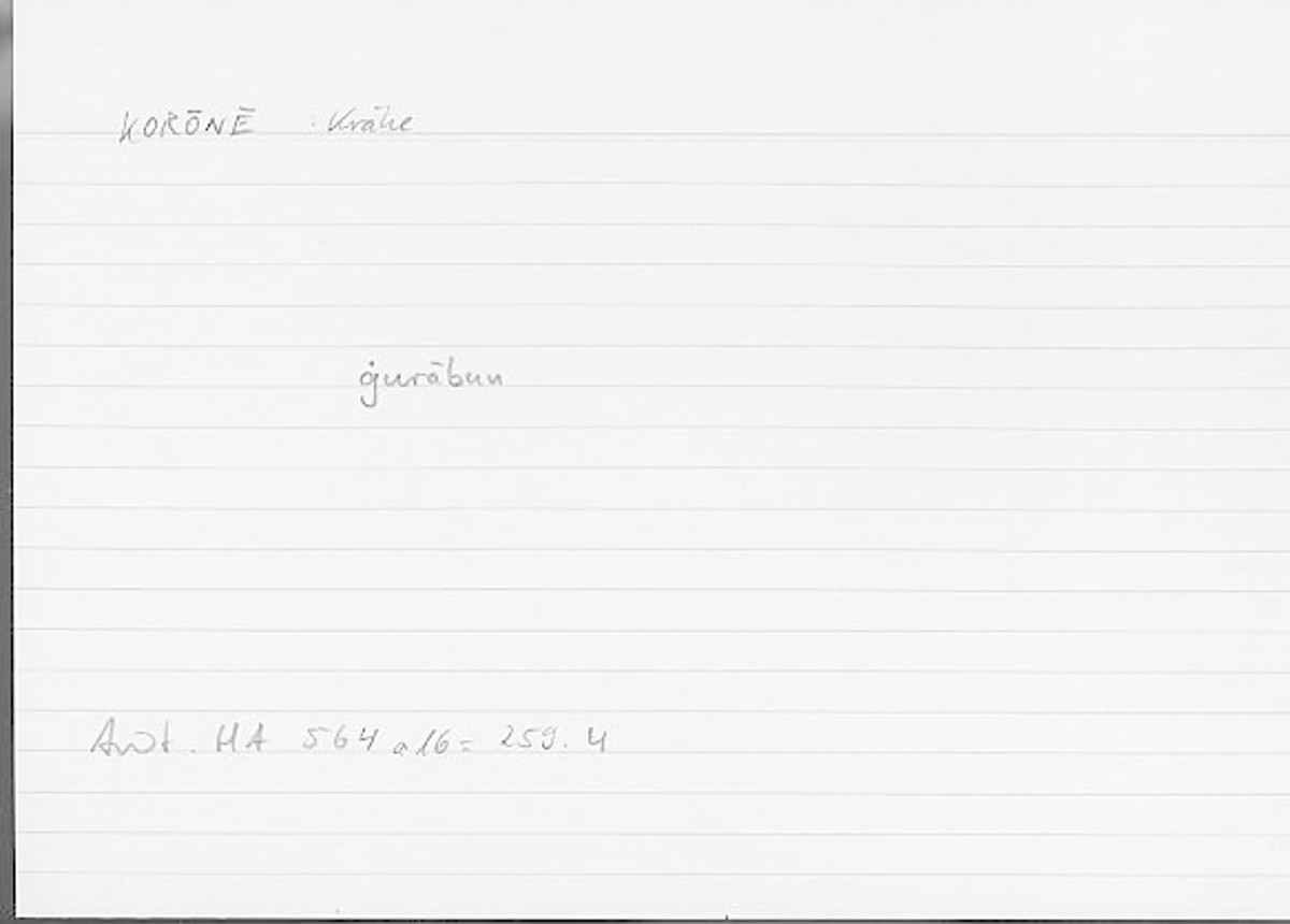 Filecard Arist.Hist-anim.393