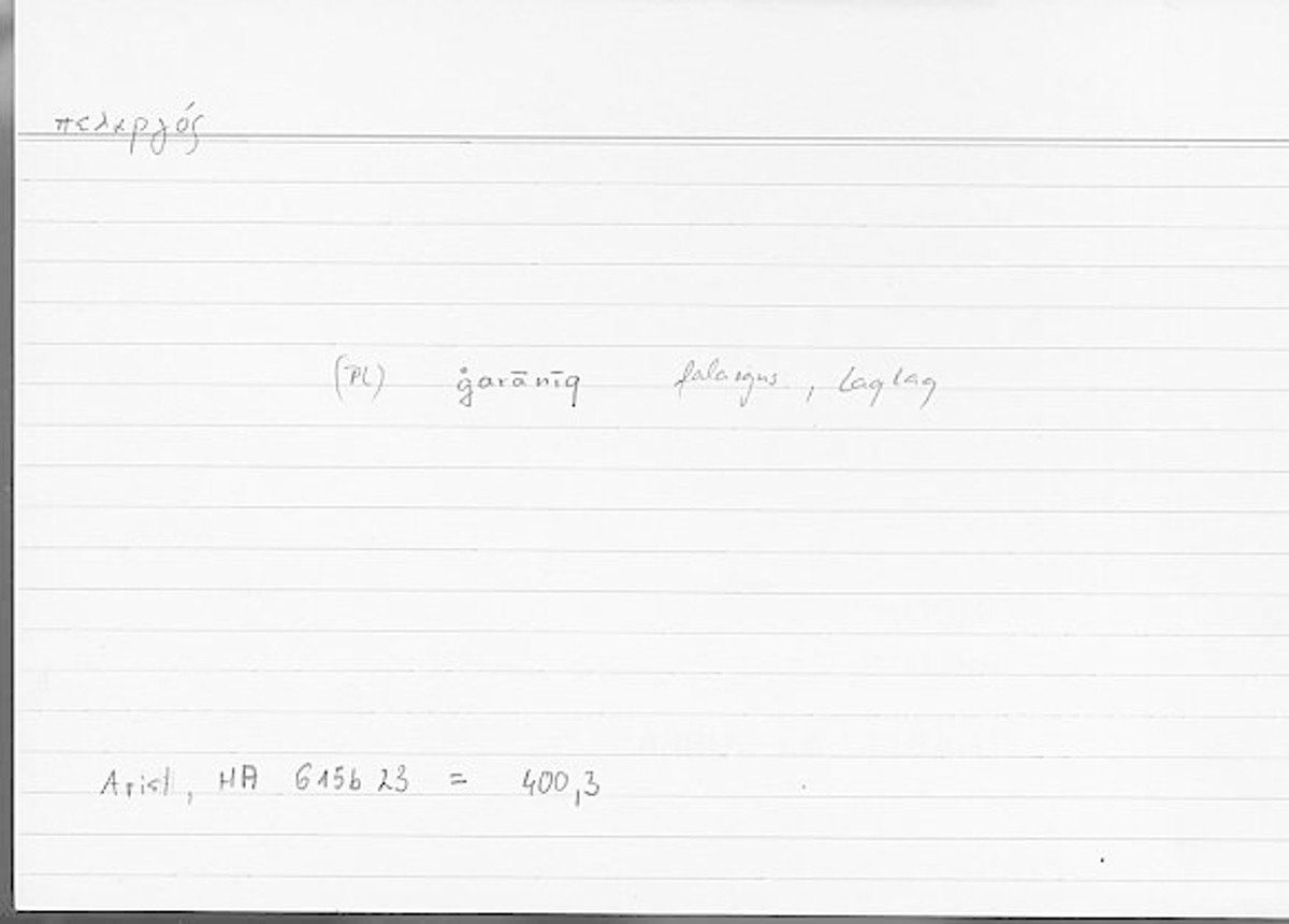 Filecard Arist.Hist-anim.396