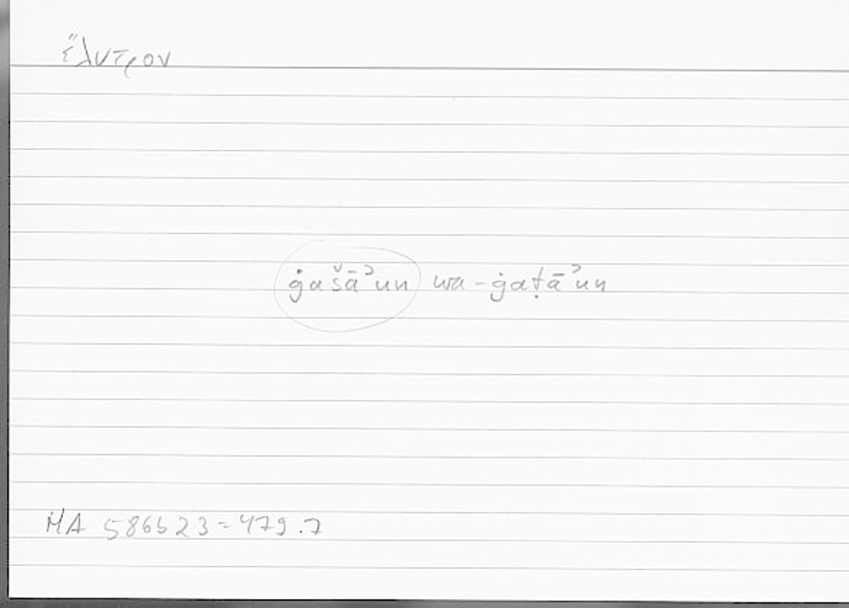 Filecard Arist.Hist-anim.401