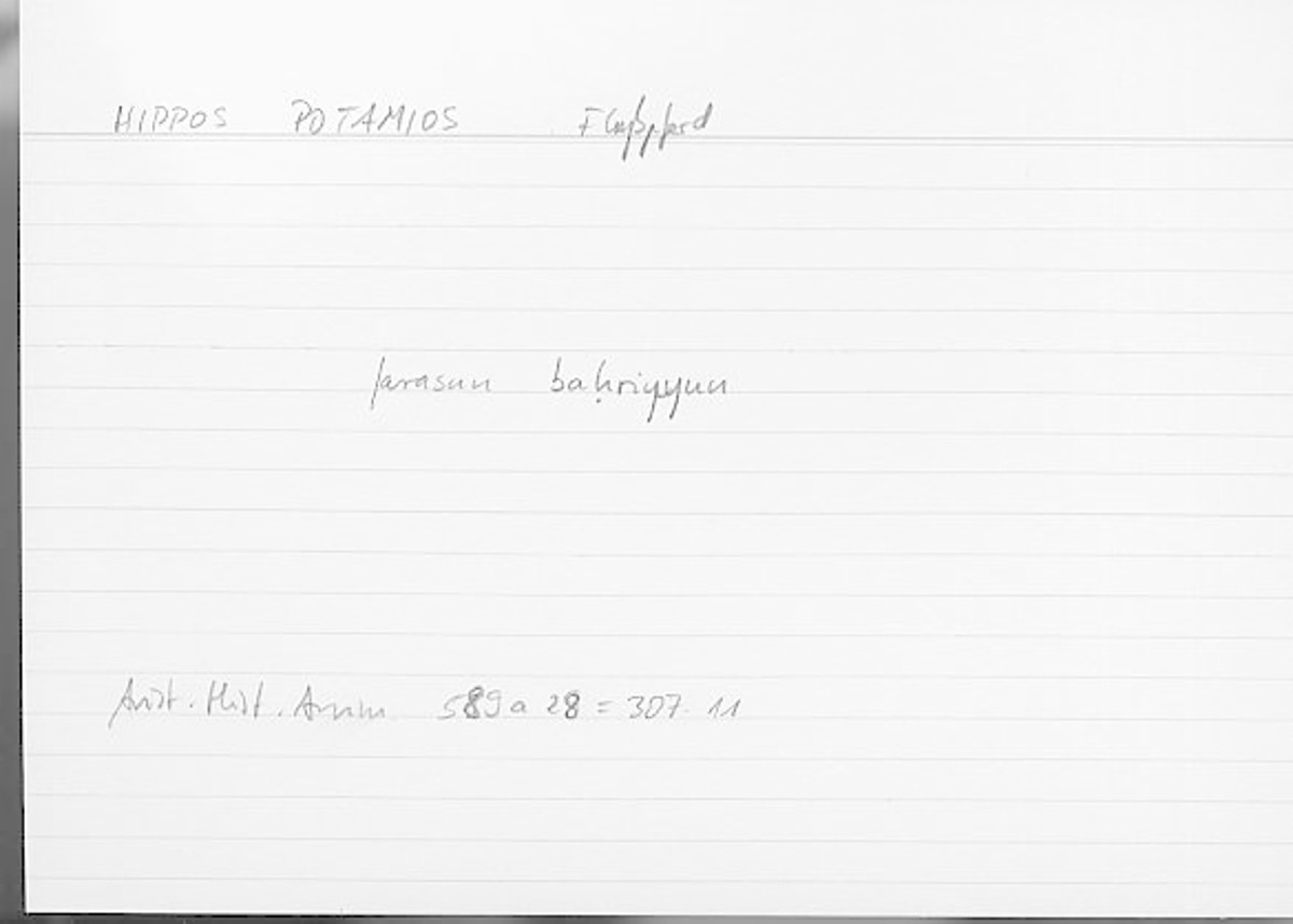 Filecard Arist.Hist-anim.416