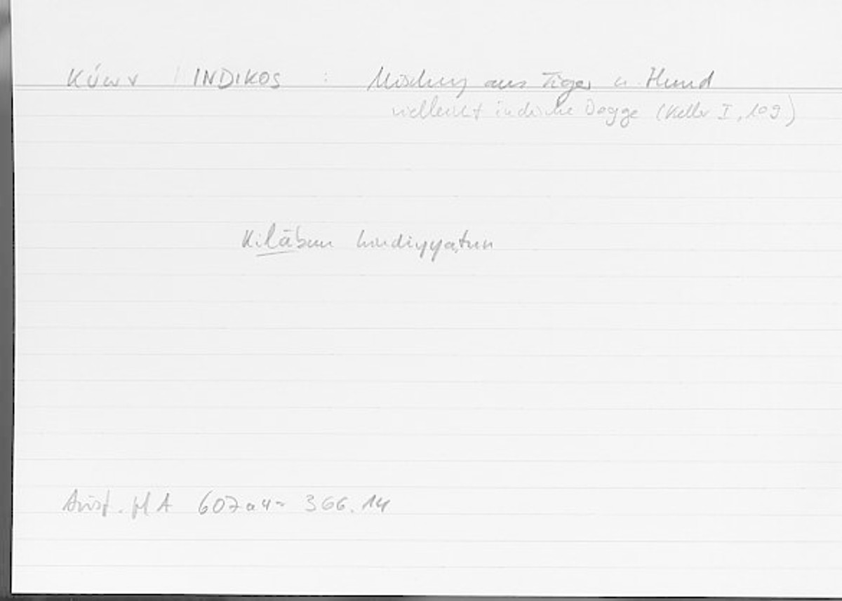 Filecard Arist.Hist-anim.492