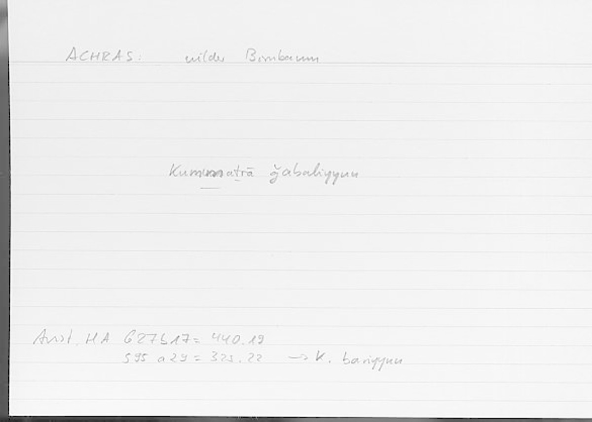Filecard Arist.Hist-anim.503