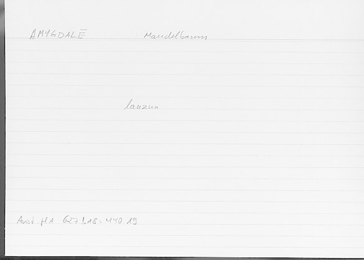 Filecard Arist.Hist-anim.516