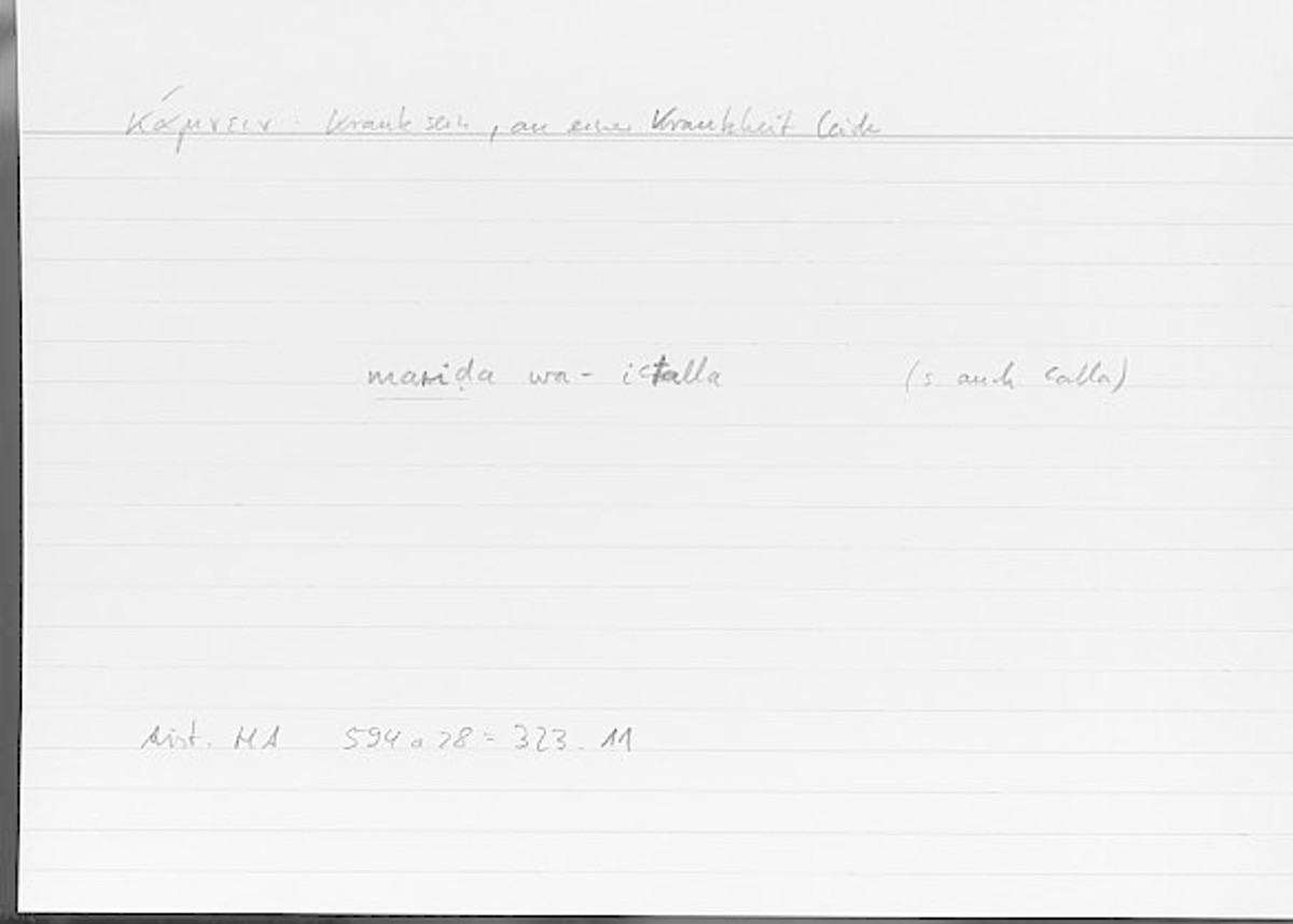 Filecard Arist.Hist-anim.528