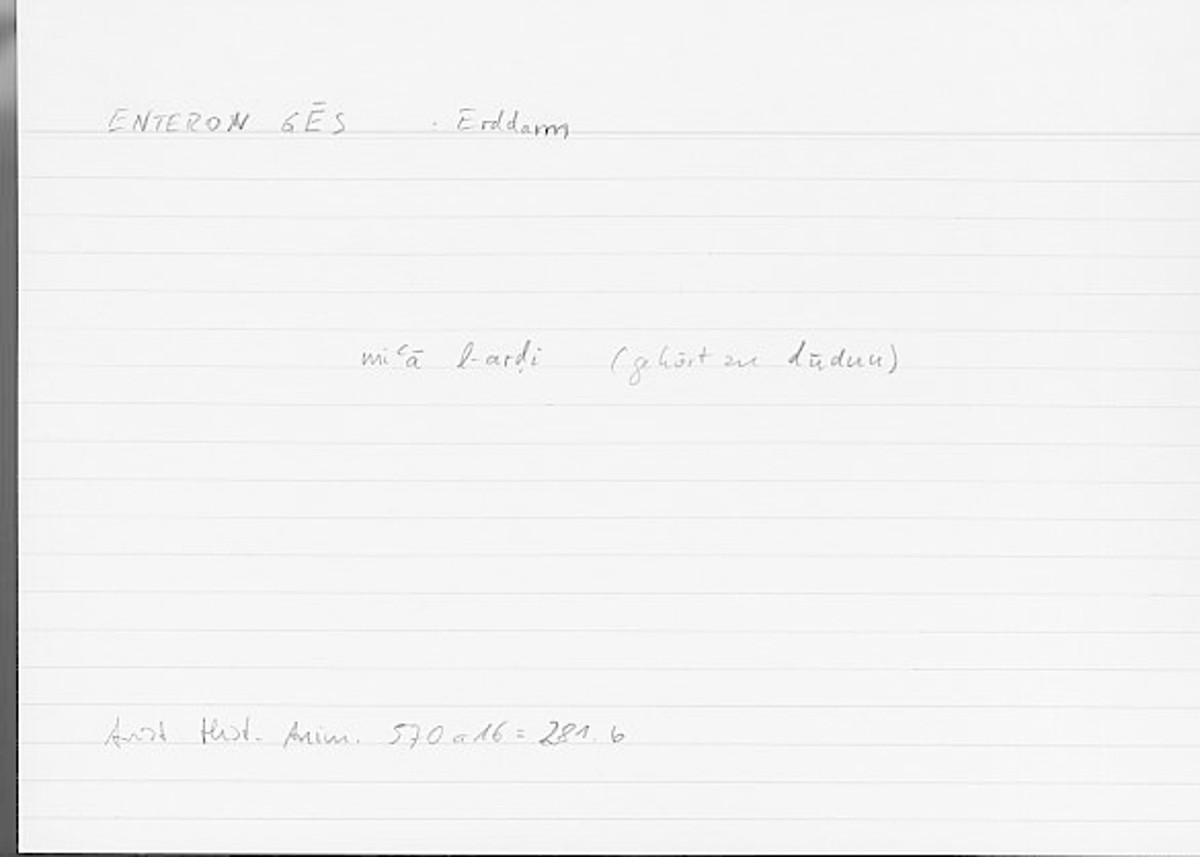 Filecard Arist.Hist-anim.543
