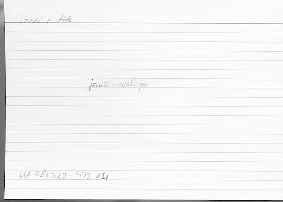 Filecard Arist.Hist-anim.584
