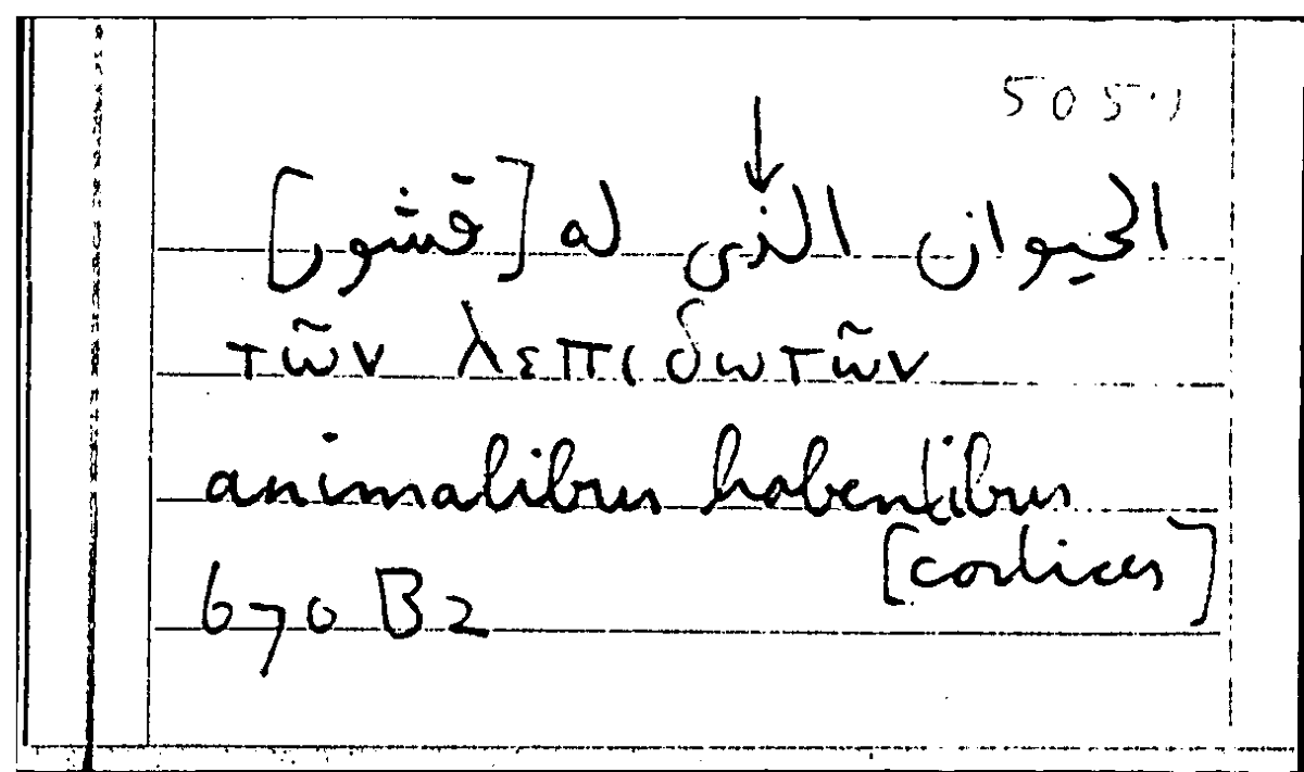 Filecard Arist.Part-anim.10123