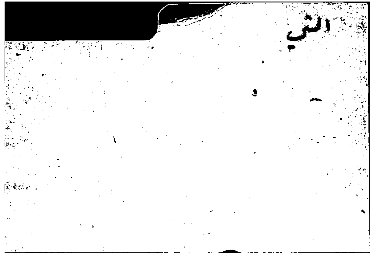 Filecard Arist.Part-anim.10193