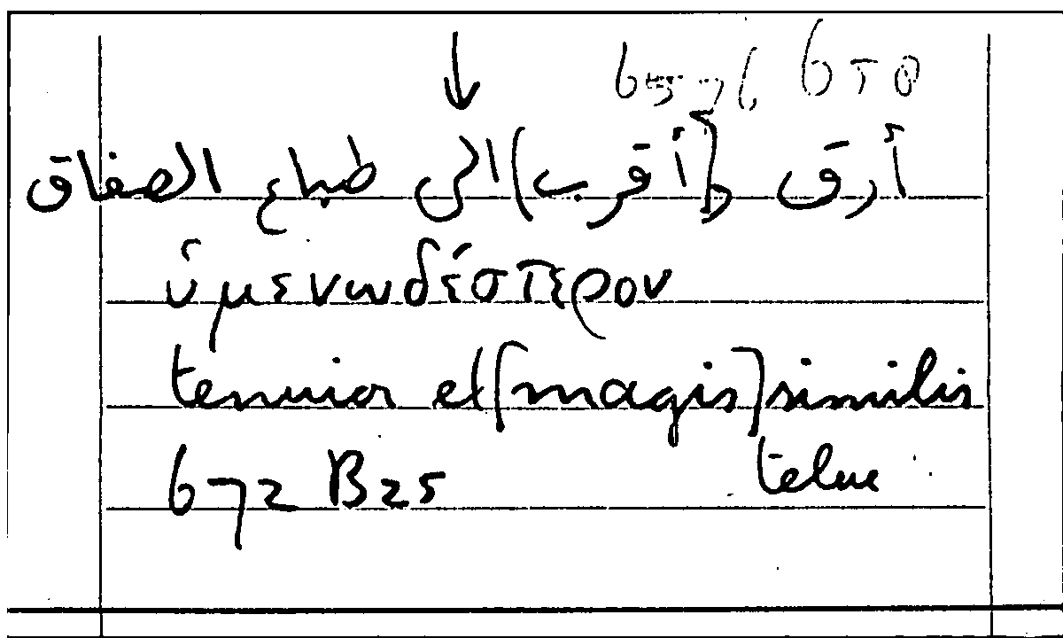 Filecard Arist.Part-anim.10297