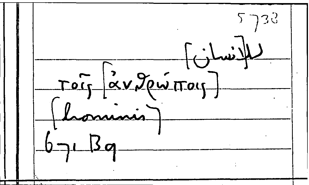 Filecard Arist.Part-anim.10536
