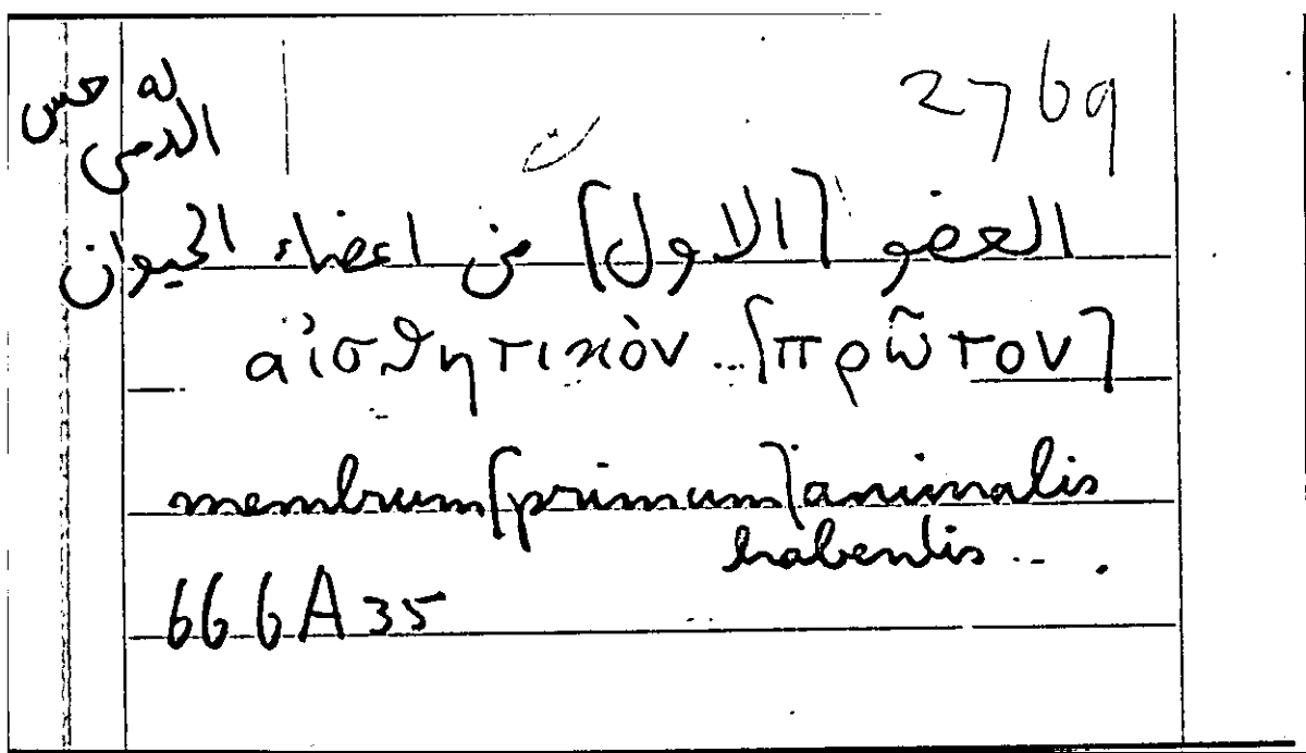 Filecard Arist.Part-anim.10585
