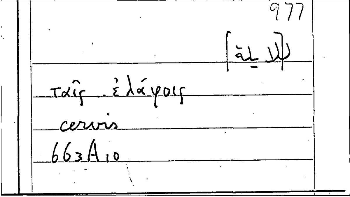 Filecard Arist.Part-anim.10687