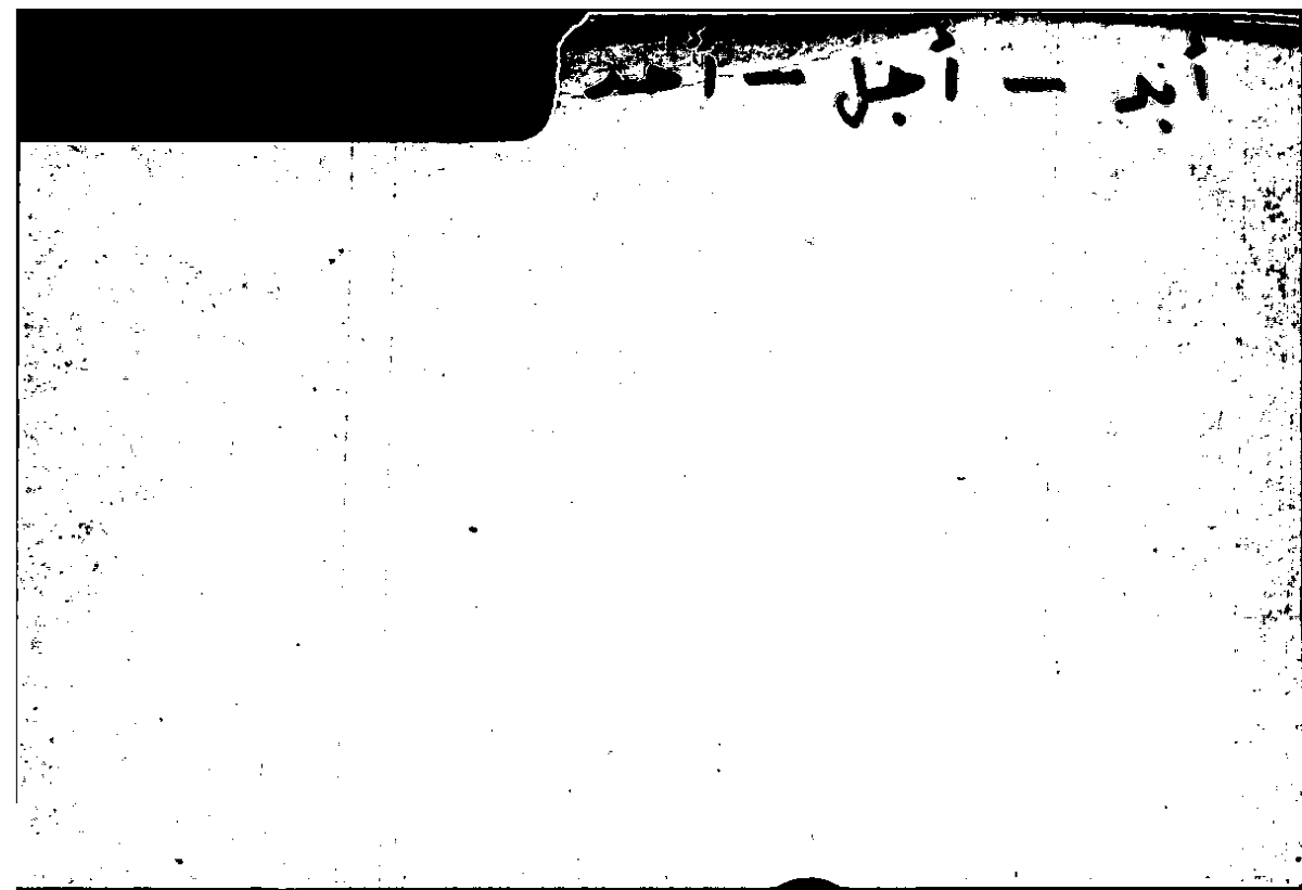 Filecard Arist.Part-anim.10705
