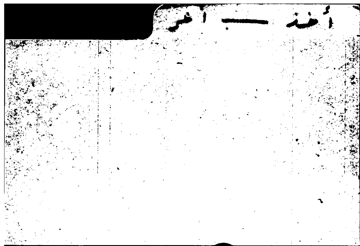 Filecard Arist.Part-anim.10710