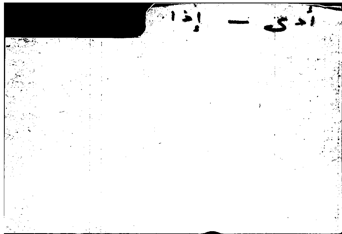 Filecard Arist.Part-anim.10712