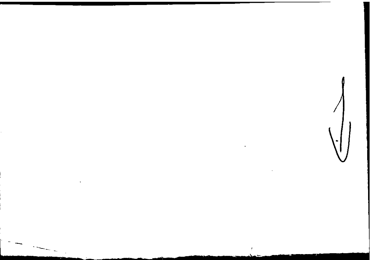 Filecard Arist.Part-anim.10714