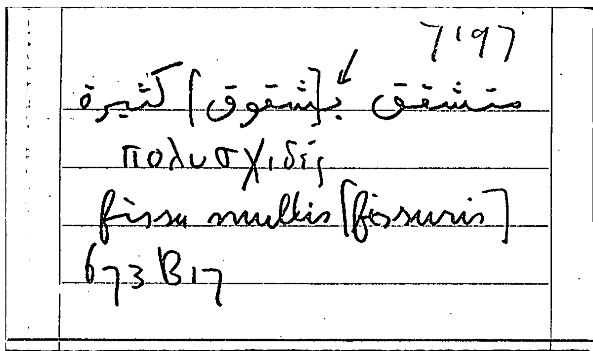 Filecard Arist.Part-anim.10783