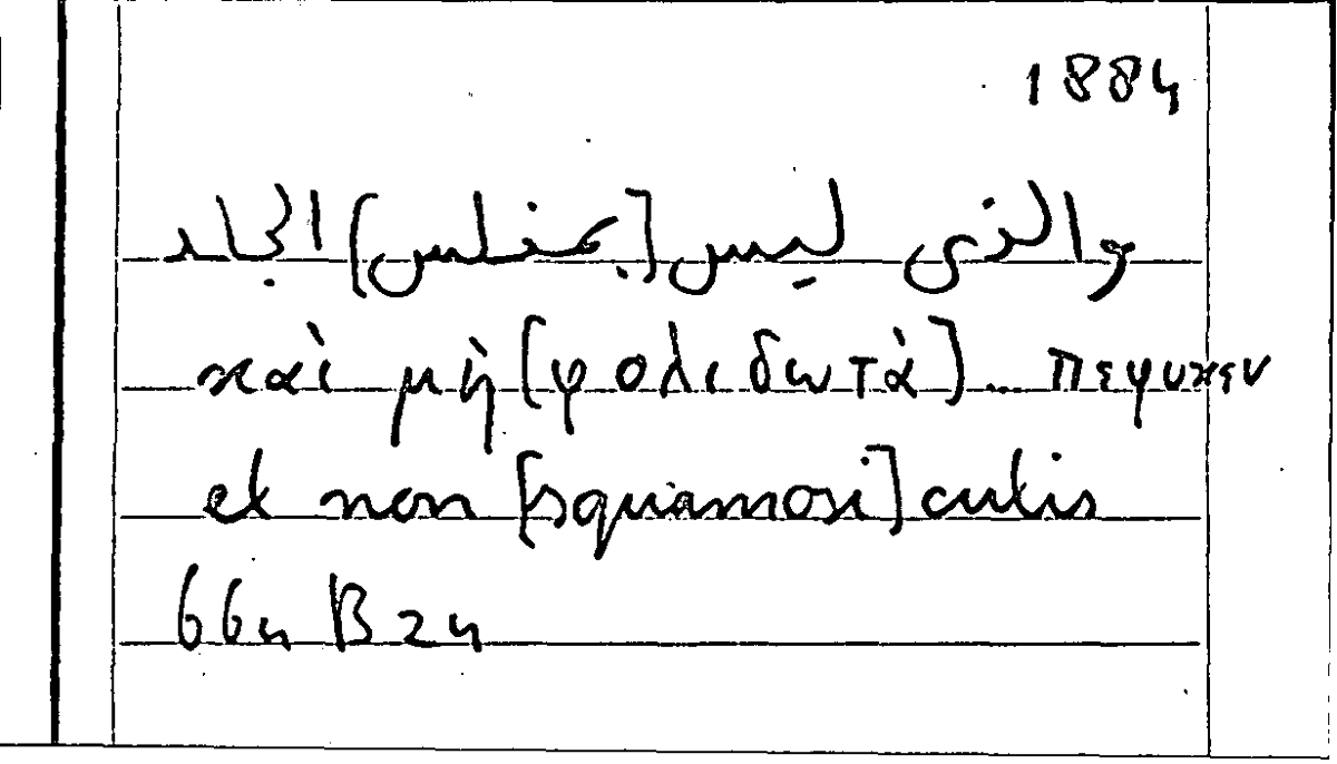 Filecard Arist.Part-anim.10837
