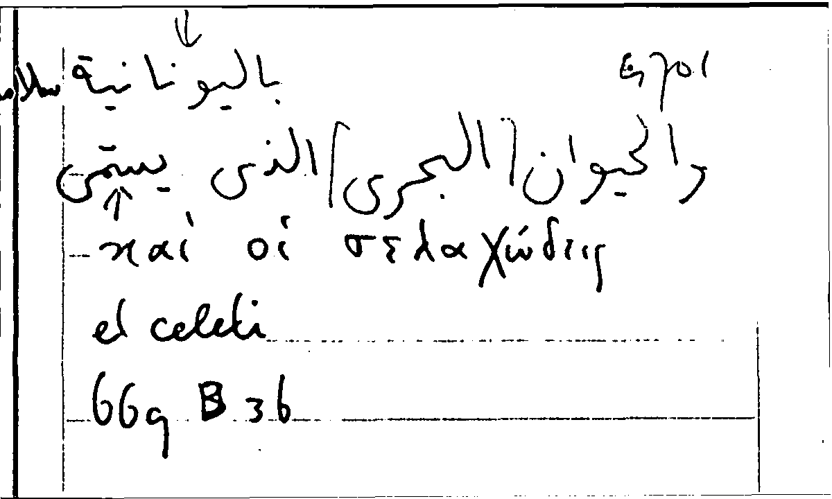Filecard Arist.Part-anim.10867