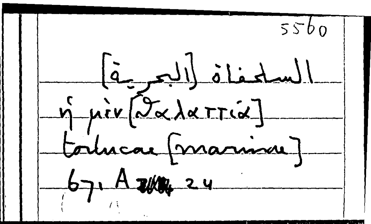 Filecard Arist.Part-anim.10869