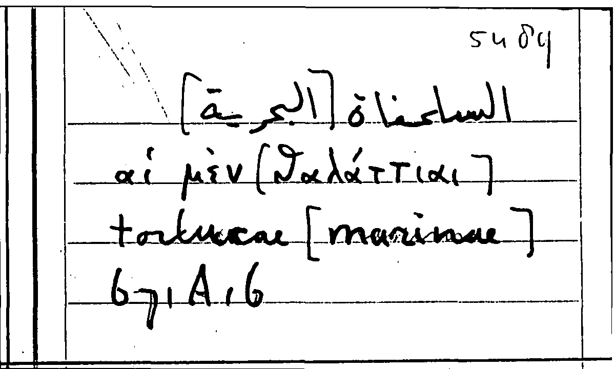 Filecard Arist.Part-anim.10870