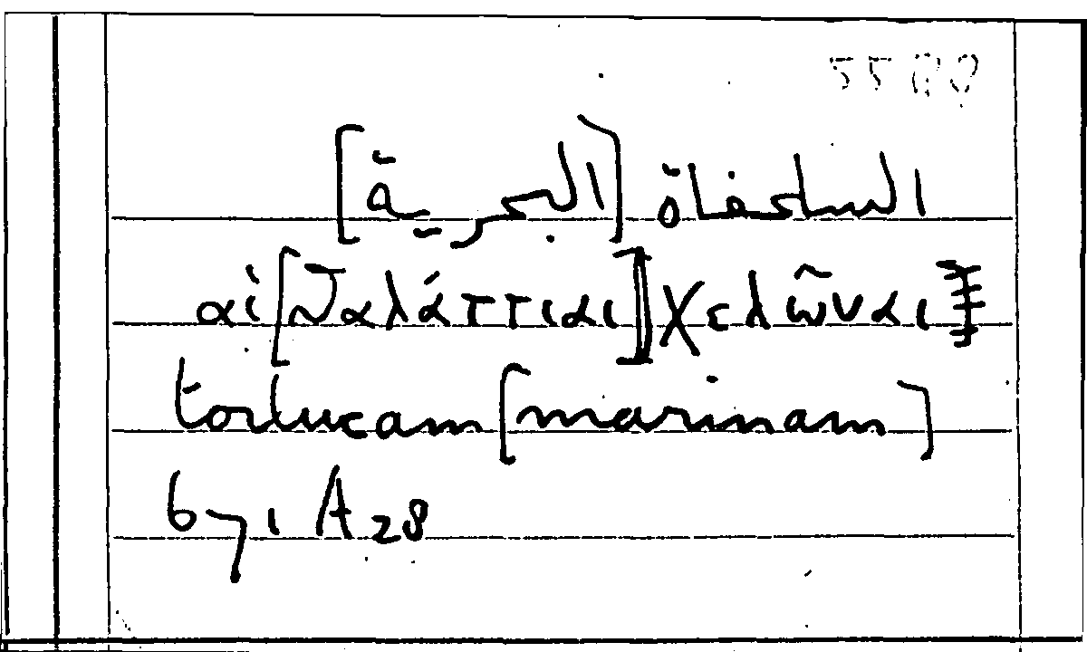 Filecard Arist.Part-anim.10871