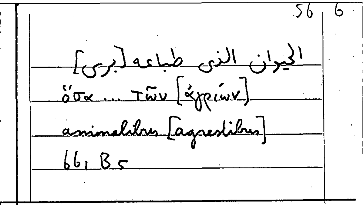 Filecard Arist.Part-anim.10882