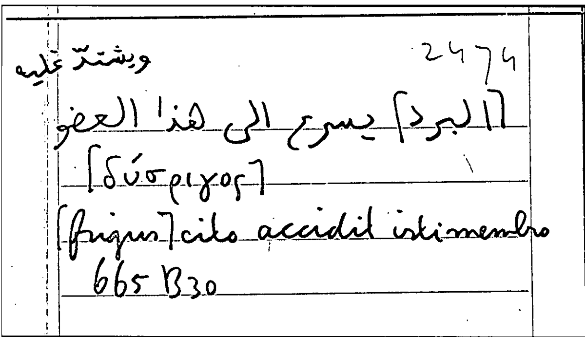 Filecard Arist.Part-anim.10895