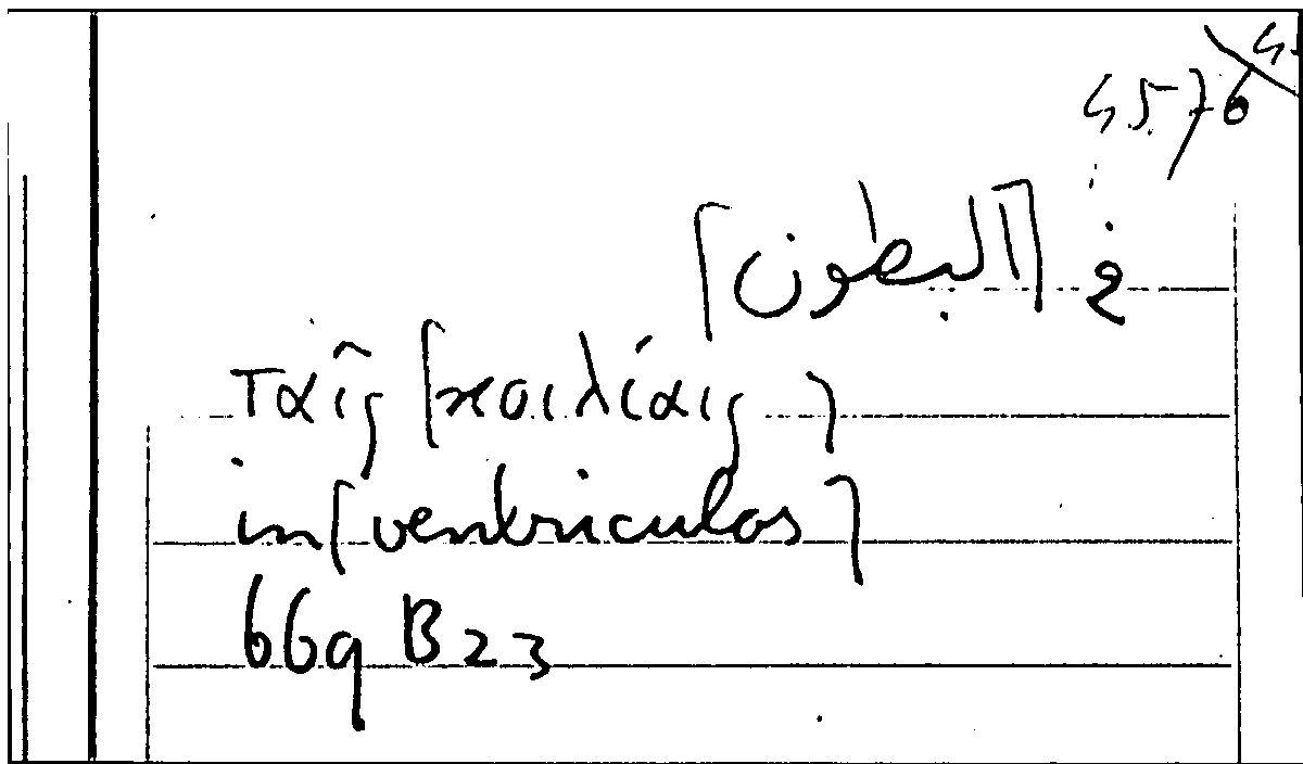 Filecard Arist.Part-anim.10976