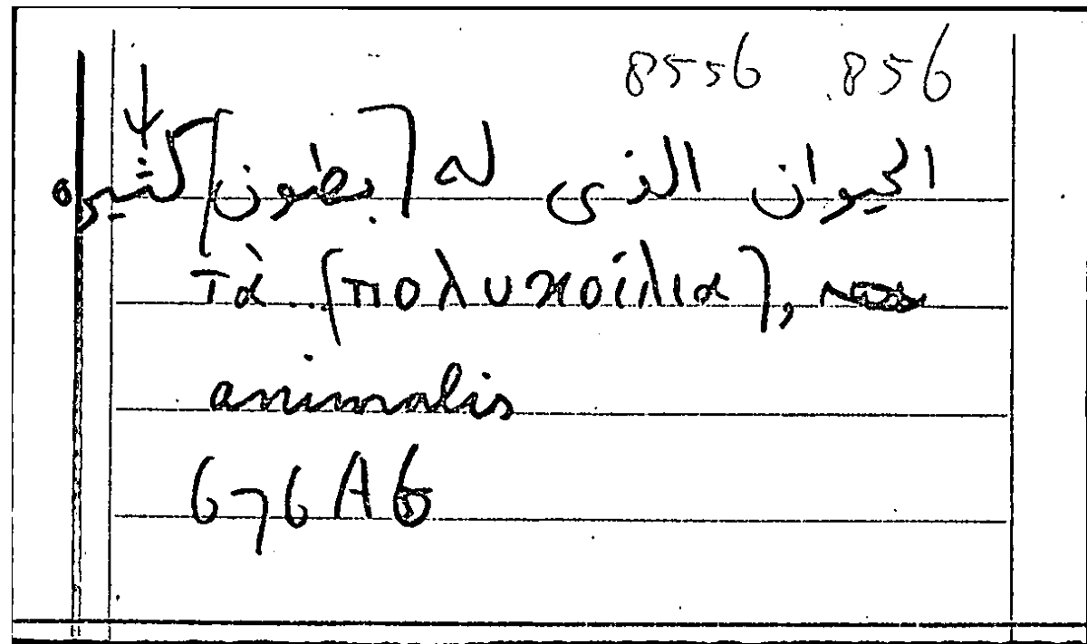 Filecard Arist.Part-anim.10991