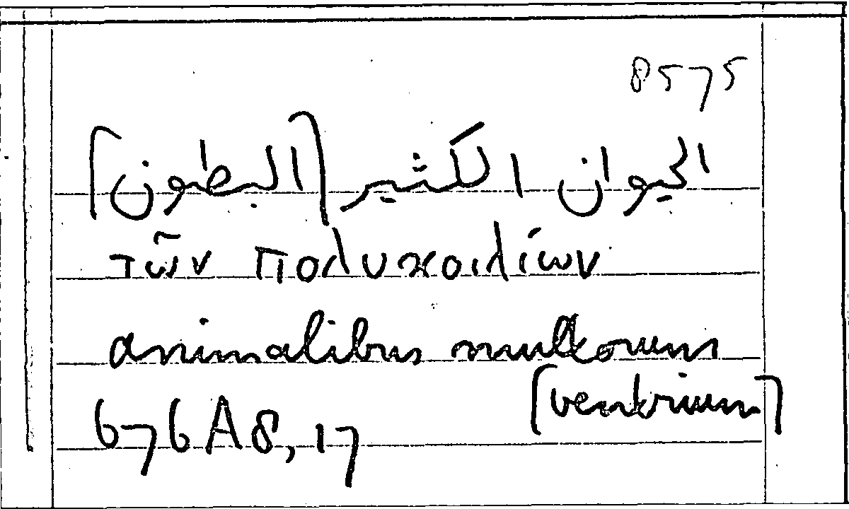 Filecard Arist.Part-anim.10992