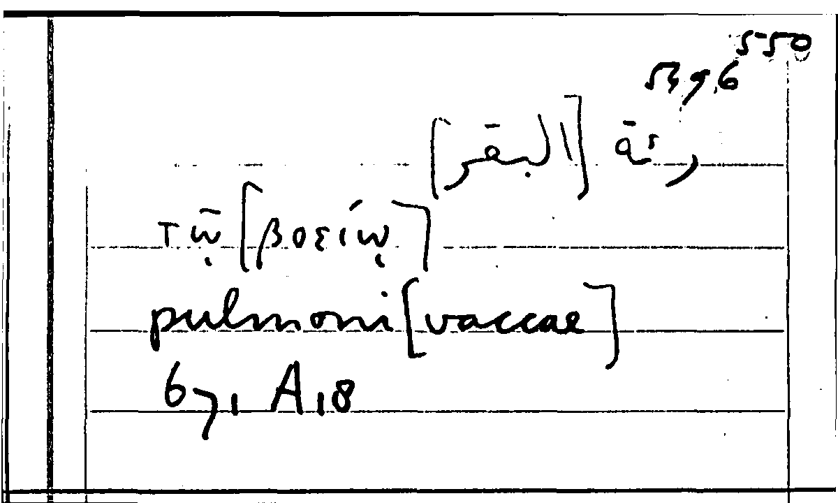 Filecard Arist.Part-anim.11125