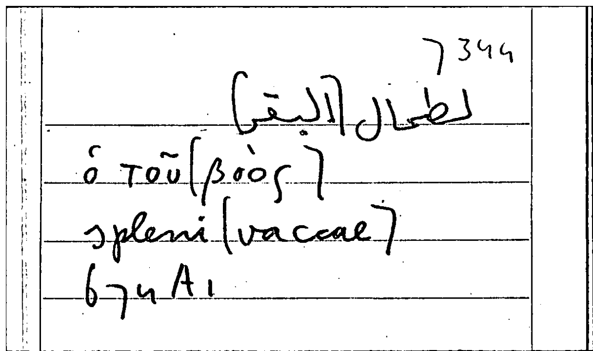 Filecard Arist.Part-anim.11128