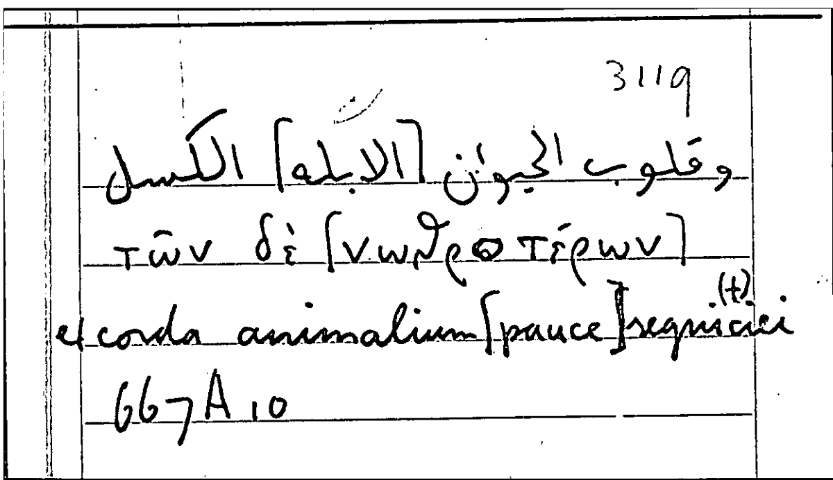 Filecard Arist.Part-anim.11169