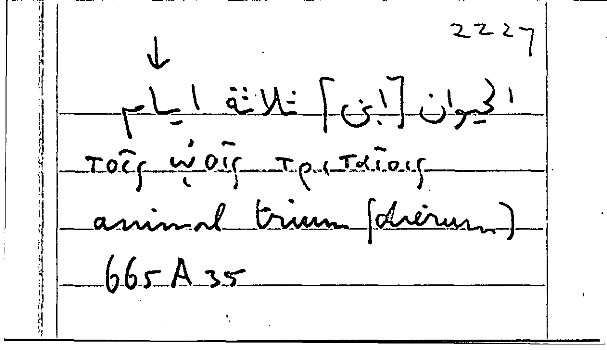 Filecard Arist.Part-anim.11173