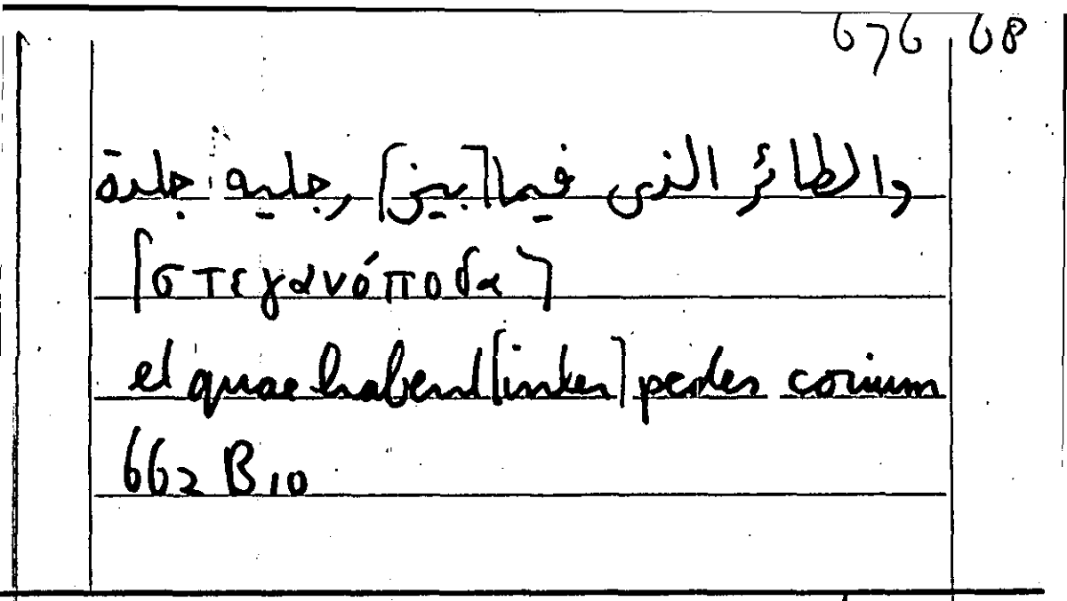 Filecard Arist.Part-anim.11199