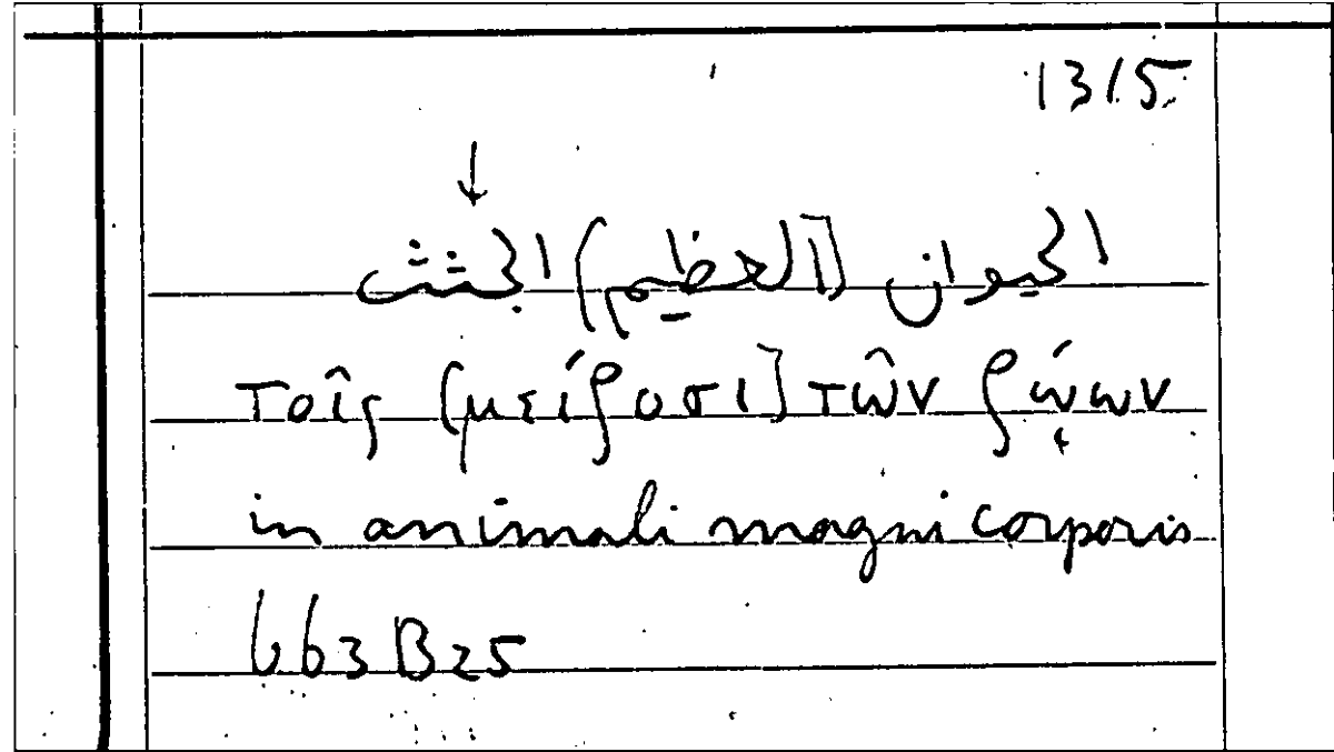 Filecard Arist.Part-anim.11252